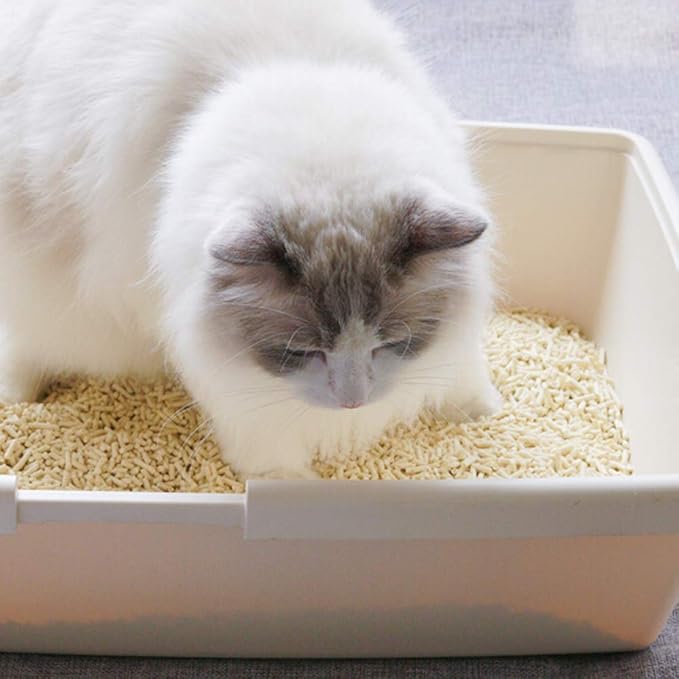 Natural Soy Litter, Tofu Cat Litter - Clumping, Flushable, Ultra Absorbent and Fast Drying - Zero Dust, Low Tracking - Unscented, 2 Pack