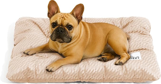 FUNNY FUZZY 30x20 Washable Dog Bed Crate Mat, 2 in1 Pet Pillow Sleeping Bed, Fluffy Deluxe Kennel Mattress for Medium Dog and Cat,Charcoal Grey,M,Beige