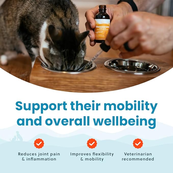 100% Natural Liquid Glucosamine Chondroitin with MSM for Cats, Hip & Joint Supplement for Senior Felines, Arthritis Support & Mobility Booster Glucosamine Drops, 2 Oz