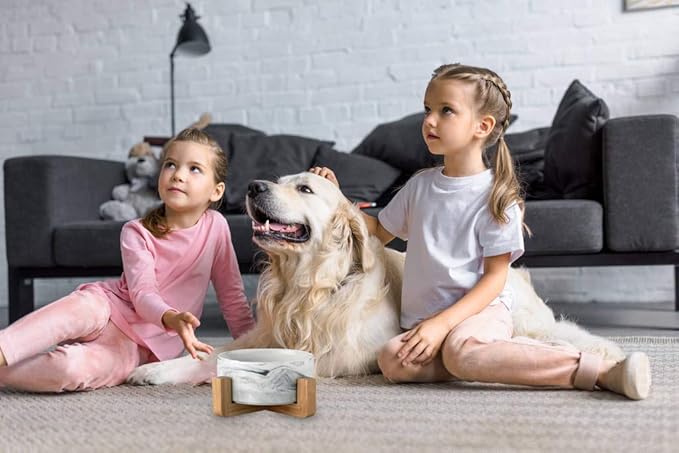 Ceramic Pet Bowls with Stand - Dog Cat Water Bowl and Food Dish -Heavy Weighted & No Tip Over Pet Comfort Feeding Bowls -Dishwasher Safe & Easy to Clean