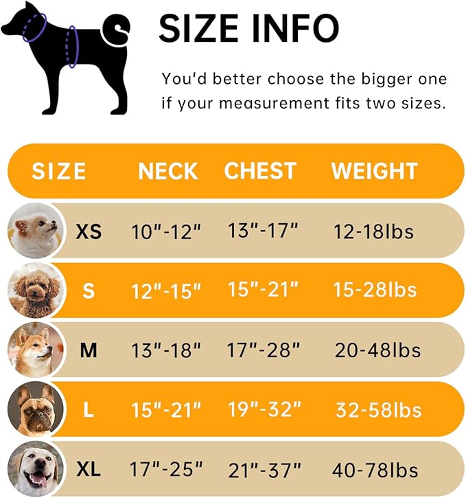 IVY&LANE No Pull Dog Harness for Large Dogs, Dog Vest Harness with Leash, Safety Belt and Storage Strap, Fully Adjustable Harness, 360° Reflective Strip, Soft Handle (Orange,X-Large)