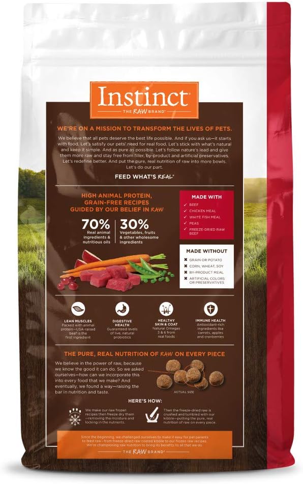 Original Beef Dry Dog Food, 20 lb. Bag