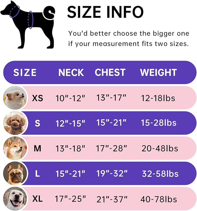 IVY&LANE No Pull Dog Harness for Small Dogs, Dog Vest Harness with Leash, Safety Belt and Storage Strap, Fully Adjustable, 360 Reflective Strip, Soft Handle (Pink, S)