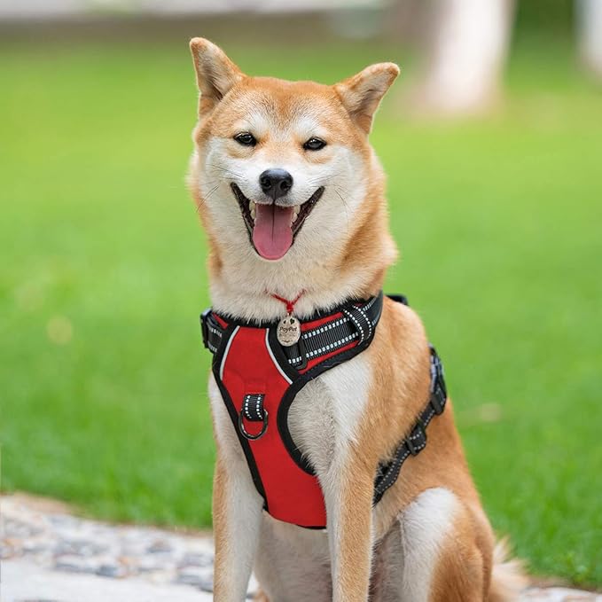 PoyPet No Pull Dog Harness, Reflective Comfortable Vest Harness with Front & Back 2 Leash Attachments and Easy Control Handle Adjustable Soft Padded Pet Vest for Small to Large Dogs (Red,M)