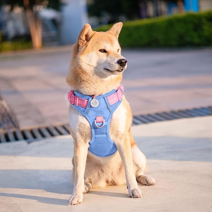 PHOEPET No Pull Dog Harness, Unique Colors Reflective Adjustable Dog Vest, with Soft Training Handle Metal Clips for Small Medium Large Dogs (Baby Blue Base & Pink Straps,L)