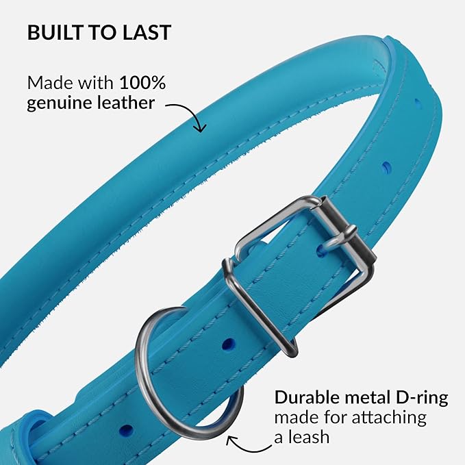 CollarDirect Rolled Leather Dog Collar, Soft Padded Round Puppy Collar, Handmade Genuine Leather Collar Dog Small Large Cat Collars 13 Colors (8-11 Inch, Light Blue Smooth)