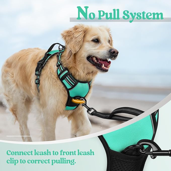 rabbitgoo Dog Harness No Pull with 2 Leash Clips, Adjustable Soft Padded, Reflective Oxford No Choke Pet Vest with Easy Control Handle for Small Dogs, Turquoise, S