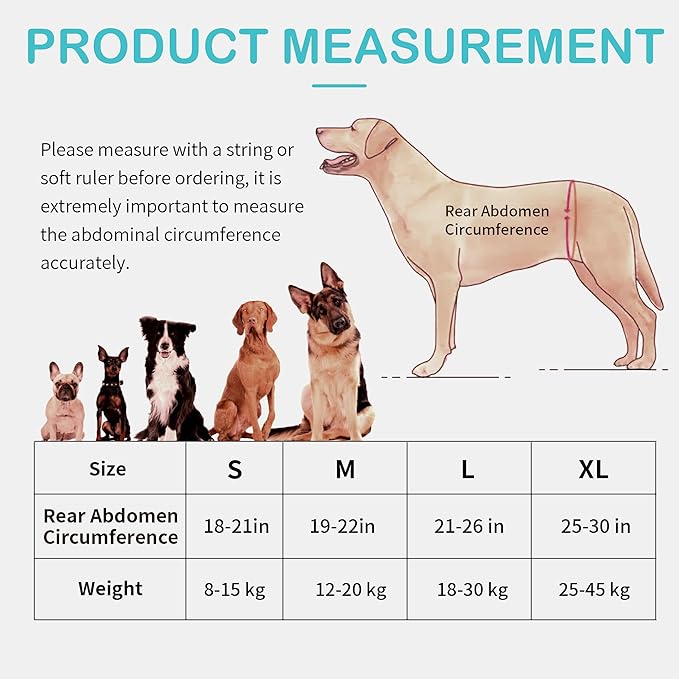 Dog Lift Harness for Small Dogs, Adjustable Rear Leg Support Sling for Hip Dysplasia, Arthritis, Weak Hind Legs, Post-Surgery Recovery, Comfortable & Secure with Sturdy Buckles, S