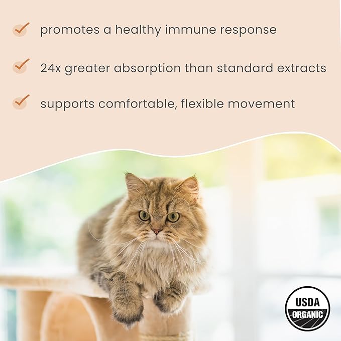 Bark & Whiskers Organic Curcumin, 2.64 Oz. (75 g), 300 Scoops, Promotes Mobility & Joint Health, Veterinarian Formulated, Non-GMO, Certified USDA Organic, Dr. Mercola
