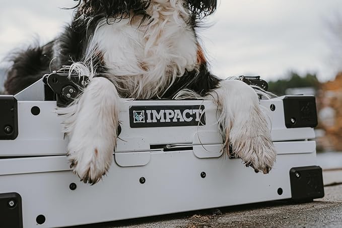 Impact Collapsible Dog Crate - Foldable Hard Crate for Intermediate Dogs - Heavy Duty Travel Kennel with Powder-Coated Aluminum - Quick Setup for Indoor & Outdoor (White, 34" (34.5" L x 23" W x 29" H)