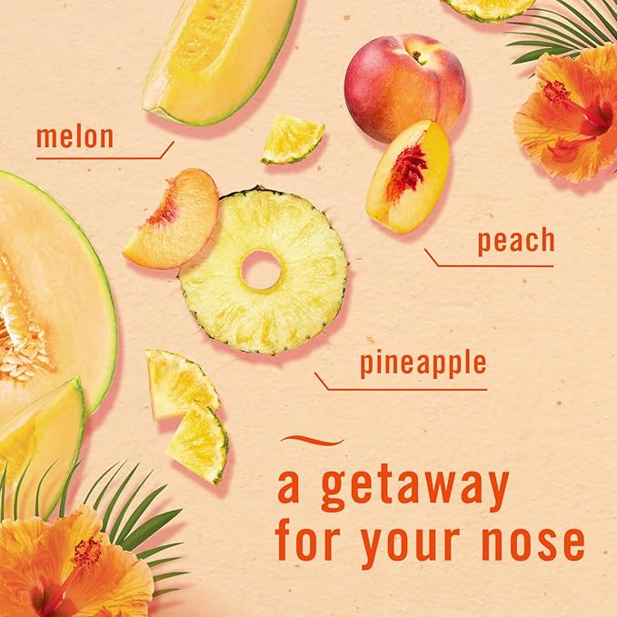 Febreze Small Spaces Air Freshener, Odor-Fighting, Plug In Alternative, Air Fresheners for Home and Bathroom and Kitchen, Closet Air Fresheners, Hawaiian Aloha Scent, 2 Count