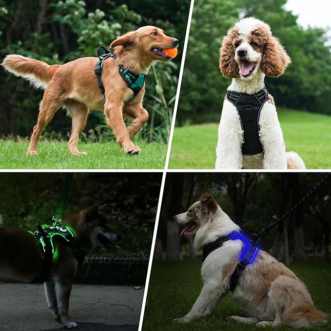 Taglory Light Up Dog Harness, Rechargeable No Pull Dog Vest with 3 Lightning Modes, Reflective Dog Harness with 2 Leash Clips & 4 Adjustable Slide Strips for Large Dogs, Purple-Orange, L