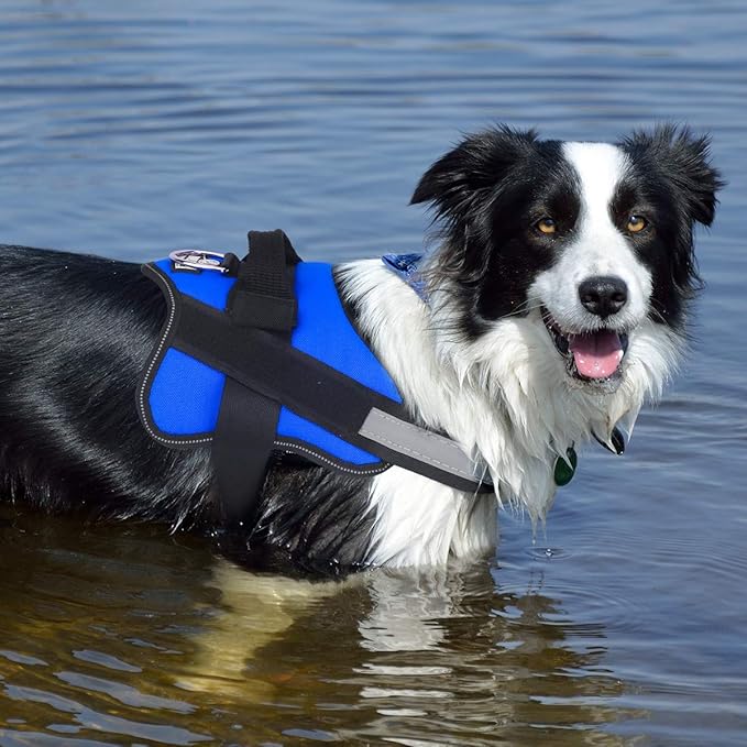 Bolux Dog Harness, No-Pull Reflective Dog Vest, Breathable Adjustable Pet Harness with Handle for Outdoor Walking - No More Pulling, Tugging or Choking (Blue, M)