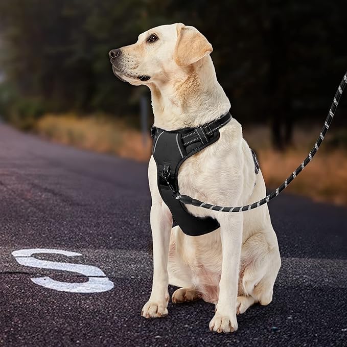 IVY&LANE No Pull Dog Harness for Large Dogs, Dog Vest Harness with Leash, Safety Belt and Storage Strap, Fully Adjustable Harness, 360° Reflective Strip, Soft Handle (Black, L)