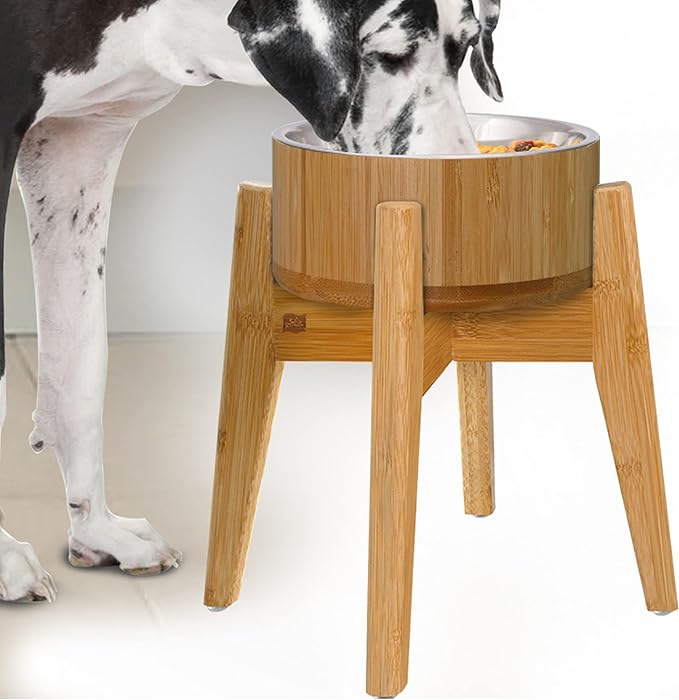 Dog Bowls Elevated, 12-inch High, 5-Cup Cap - Set of Bamboo Holder, Stainless Inner Dish and Stand - Ideal for Medium to Large Breeds - All-Detachable Parts