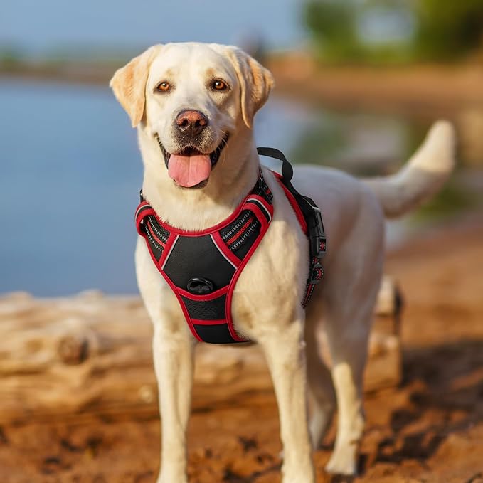 rabbitgoo Dog Harness No Pull with 2 Leash Clips, Adjustable Soft Padded, Reflective Oxford No Choke Pet Vest with Easy Control Handle for Medium Sized Dogs, Black & Red, M