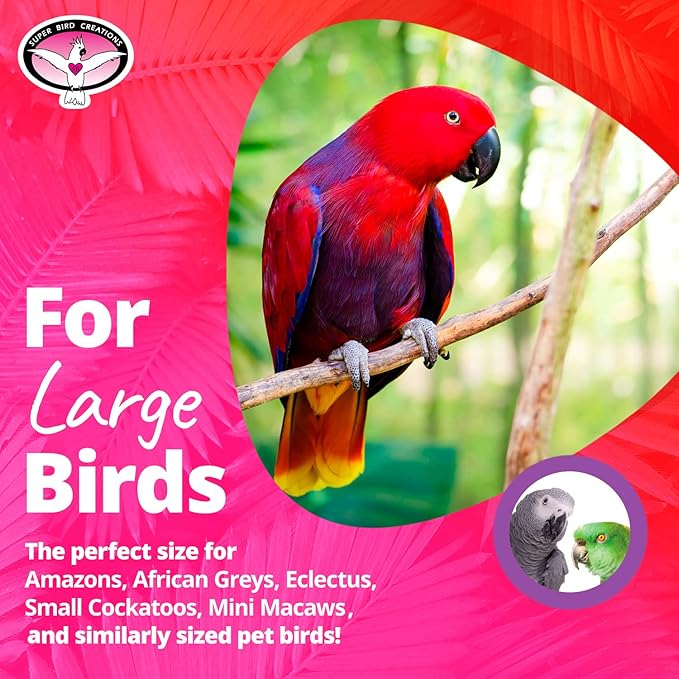 Super Bird Creations SB1153 Sure-Grip Grooming Perch Large, Medium/Large Bird Size - Enriches Beak and Foot Health - Ideal for Parrots Parakeets Quakers -Large Bird Size, 1 1/4" diam x 12" (Large)