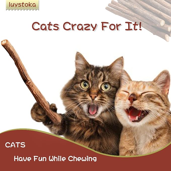 Silvervine Sticks for Cats, 30PCS Kitten Toys Catnip Toys Matatabi Silvervine Sticks Kitty Chew Toys Wooden Stick Kitten Teething Toys Molar Suitable for Cats of All Ages