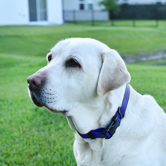 Dogline Biothane Waterproof Dog Collar with Quick Release Buckle Strong Coated Nylon Webbing with Odor- Proof for Easy Care Easy to Clean Fits Small Medium or Large Dogs, Royal Blue 3/4" W 12-19" L