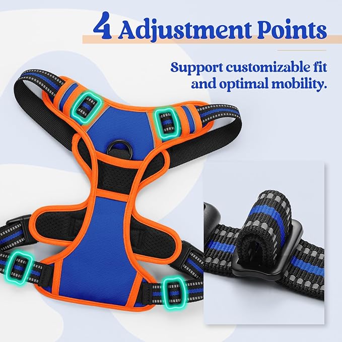 rabbitgoo Dog Harness No Pull with 2 Leash Clips, Adjustable Soft Padded, Reflective Oxford No Choke Pet Vest with Easy Control Handle for Large Dogs, Blue & Orange, L