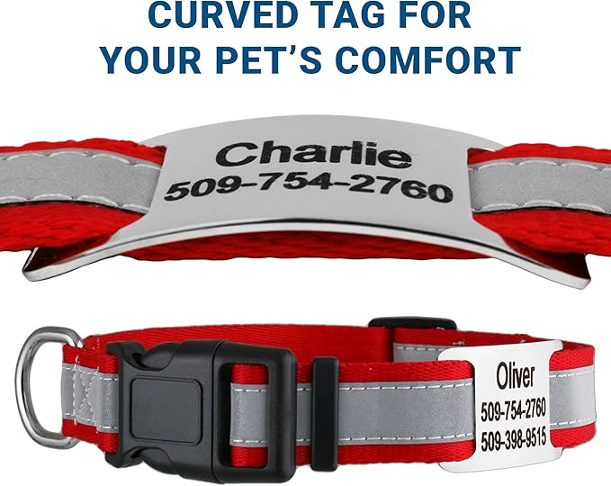GoTags Reflective Personalized Dog Collar with Nameplate, Adjustable Dog Collar with Custom Engraved Steel Slide On Pet ID Tag, Silent, No Noise Dog Tag for Large Medium or Small (Red, Medium)