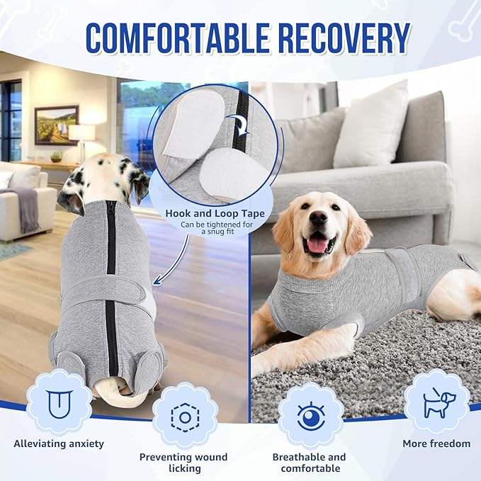 Lukovee Recovery Suit for Dogs - Zipper Onesie for Female/Male Dogs, Abdominal Wounds Cone E-Collar Alternative, Prevent Licking - Spay Recovery Suit (X-Small, Grey)