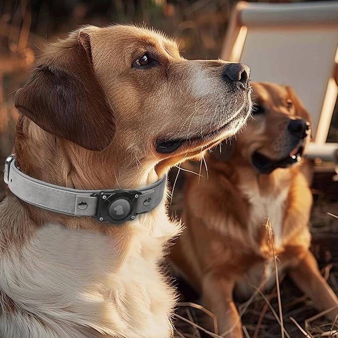 AirTag Dog Collar - Leather Dog Collar with Air Tag Holder | IPX8 Waterproof, Reflective, High - End, Adjustable Soft Padded | Dog GPS Tracker Collars Fit for Medium Large Dogs (Grey, M)