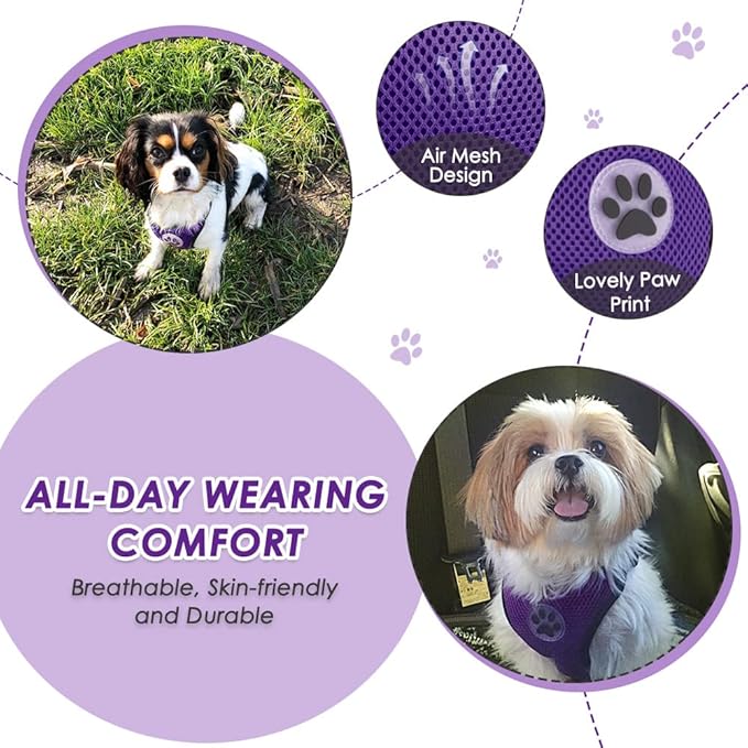 Lukovee Dog Seat Belt for Car, Adjustable Dog Car Harness for Large Medium Small Dogs, Soft Padded & Breathable Mesh Dog Seatbelt with Car Strap and Carabiner(Purple Double Clip,Large)