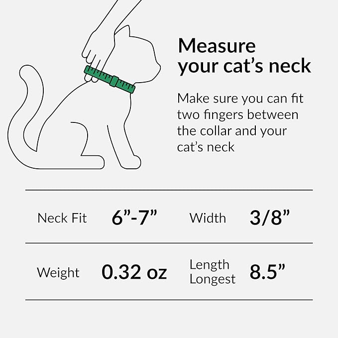 CollarDirect Leather Cat Collar, Kitten Collar with Removable Bell Black Blue Red Orange Lime Green (6-7 Inch, White)