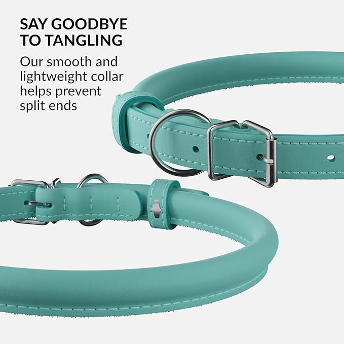 CollarDirect Rolled Leather Dog Collar, Soft Padded Round Puppy Collar, Handmade Genuine Leather Collar Dog Small Large Cat Collars 13 Colors (8-11 Inch, Mint Green Smooth)