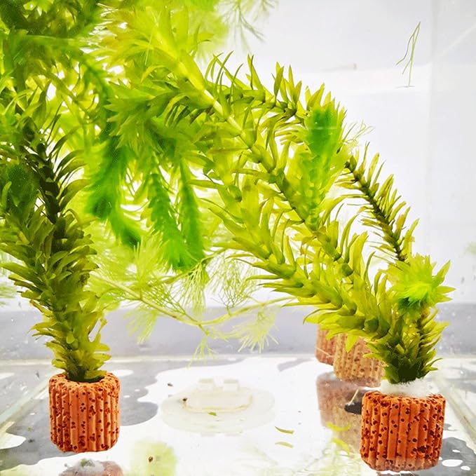 Maxmoral 10PCS 25mm Brown Aquatic Plant Ceramic Retaining Ring Base Fish Tank/Aquarium Decoration Tool Suitable for Aquascaping or Potting Plug