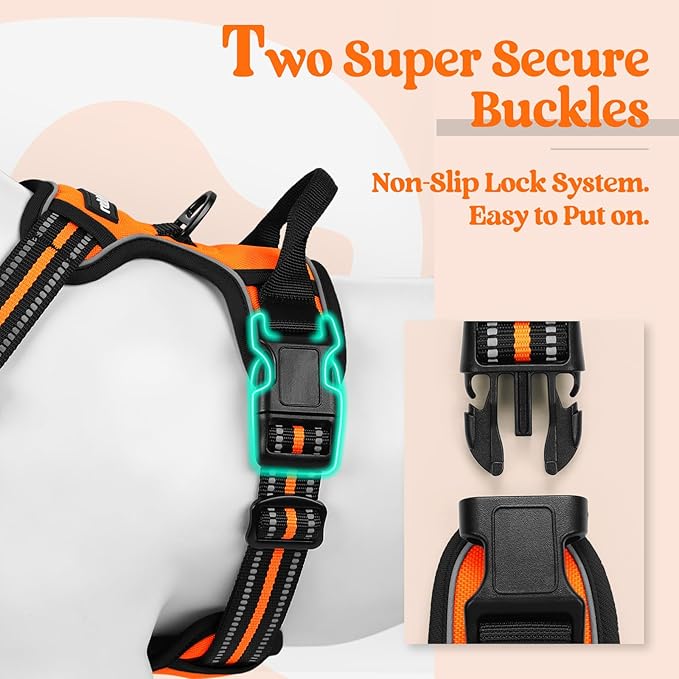 rabbitgoo Dog Harness No Pull with 2 Leash Clips, Adjustable Soft Padded, Reflective Oxford No Choke Pet Vest with Easy Control Handle for Small Dogs,Orange,S