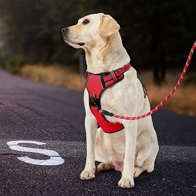 IVY&LANE No Pull Dog Harness for Large Dogs, Dog Vest Harness with Leash, Safety Belt and Storage Strap, Fully Adjustable Harness, 360° Reflective Strip, Soft Handle (Red, L)