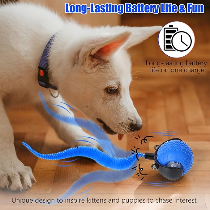nteractive Cat Ball Toy, Cat Toy Ball with Cord Imitation Mouse, Obstacle Avoidance Smart CatToy Balls, Motion Activated Toys to Keep Them Busy (Blue, 1)