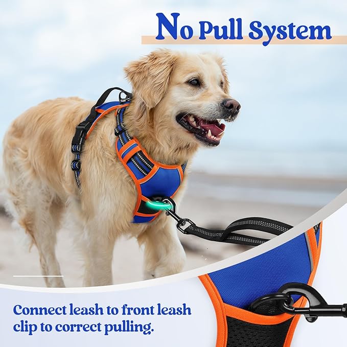 rabbitgoo Dog Harness No Pull with 2 Leash Clips, Adjustable Soft Padded, Reflective Oxford No Choke Pet Vest with Easy Control Handle for Large Dogs, Blue & Orange, L