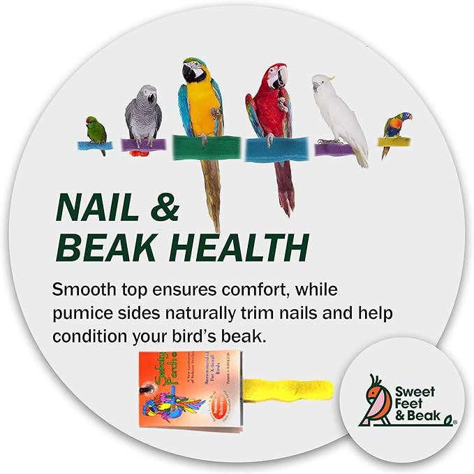 Comfort Grip Safety Perch for Bird Cages - Pedicure Perch for Birds to Keep Nails and Beaks in Top Condition - Safe Easy to Install Bird Cage Accessories - Small 6.5"
