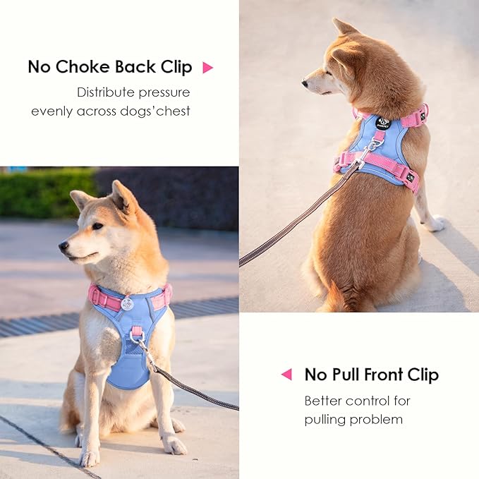 PHOEPET No Pull Dog Harness, Unique Colors Reflective Adjustable Dog Vest, with Soft Training Handle Metal Clips for Small Medium Large Dogs (Baby Blue Base & Pink Straps,L)
