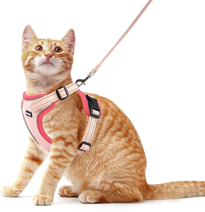 Rttochfy Cat Harness and Leash Set, Adjustable and Reflective Cat Vest, Escape Proof Kitten Harness, Easy to Put on with 3 Buckles for Cats Walking and Traveling (Pink, M)
