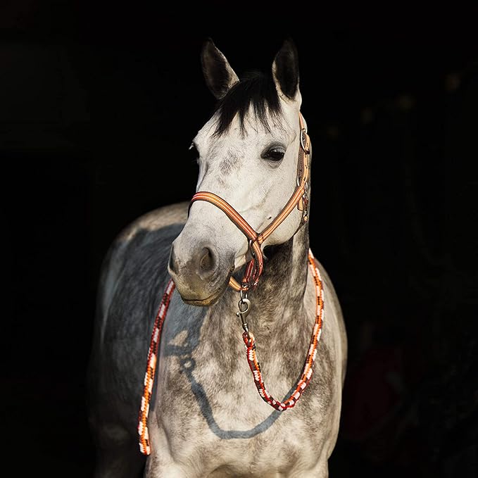 HORZE Adepto Adjustable Horse Halter | Soft, Durable Polyester - Coral Gold - Horse