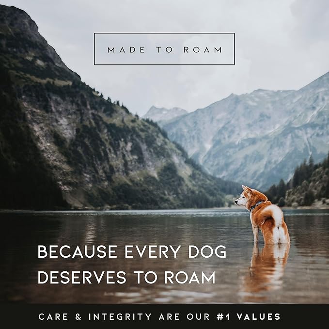 MADE TO ROAM Premium Explorer Harness - Y-Shaped Dog Harness with Adjustable Durable Nylon, Soft Padding, Metal Buckles and Leather Handle for Small, Medium, Large Dogs (Arizona Heartbeat, Size 2)