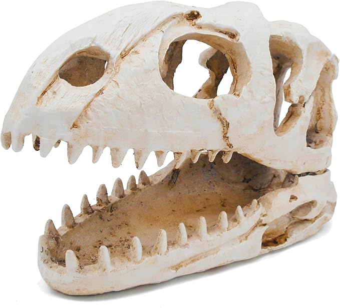 Dinosaur Animal Skull Aquarium Large Décor Cave Decorations Fish Hideout Tank Betta Tarantula Reptile Snake for Terrarium Decor Ornament Bones Halloween