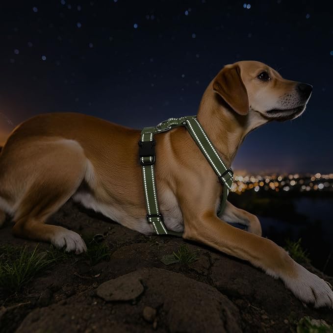 Dog Seat Belt Harness for Car, Dog Car Harness Adjustable Mesh Breathable & Dogs Seatbelt Safety Tether with Elastic Bungee for Small Medium Large Pets(Army Green, M)