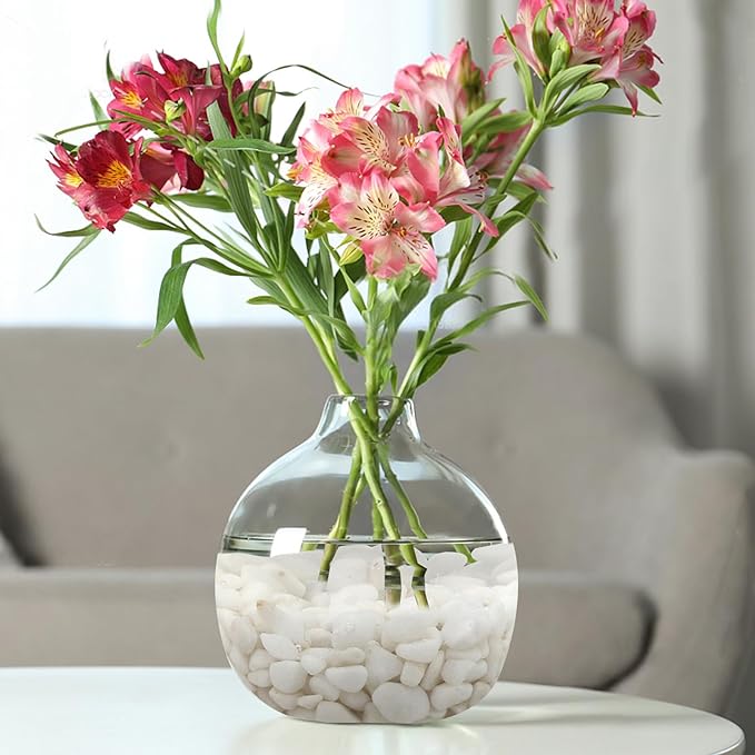 10 lbs White Pebbles for Indoor Plants, 3/8 Inch Decorative White Stones. Polished River Rocks for Potted Plants Vase Cactus Bird Bath and Outdoor Garden Landscaping