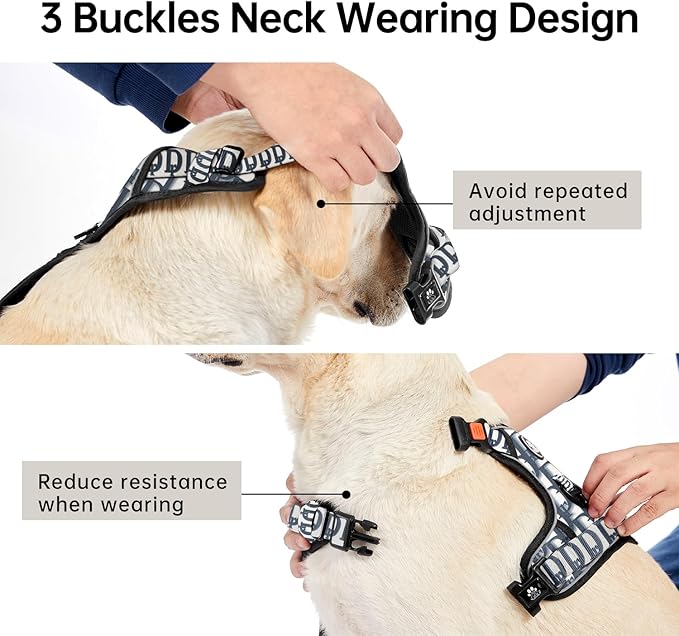 IVY&LANE No Pull Dog Harness with Leash Set, Reflective No Choke Pet Vest,Adjustable Oxford Dog Vest Harness with Easy Control Handle for Large Dogs (Vintage Blue,L)