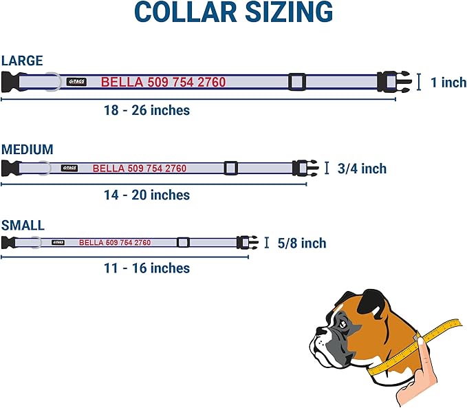 GoTags Reflective Personalized Dog Collar with Nameplate, Adjustable Dog Collar with Custom Engraved Steel Slide On Pet ID Tag, Silent, No Noise Dog Tag for Large Medium or Small (Blue, Small)