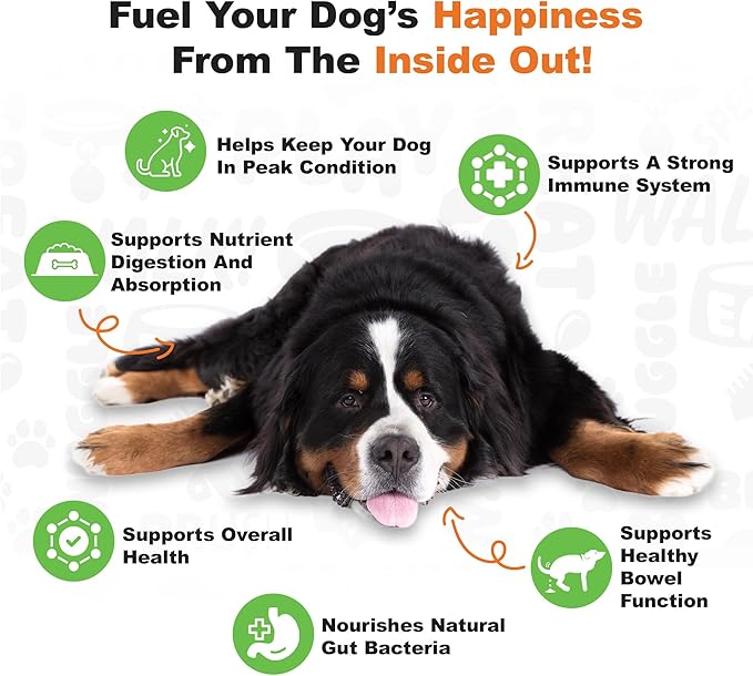 Doggie Dailies Probiotics for Dogs - Advanced Dog Probiotics with Prebiotics - Promotes Digestive Health - Supports Immune System and Overall Health (Pumpkin) 225 Soft Chews