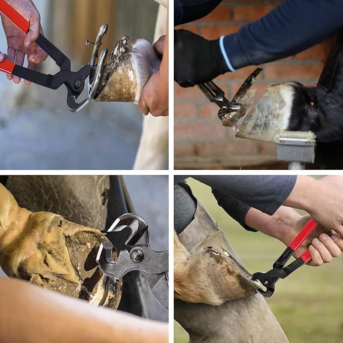 1112 Temp 11pcs Farrier Tools Farrier kit Horse shoeing Tools Farrier Supplies Farrier Tools for Horses Cattle Sheep and Donkeys