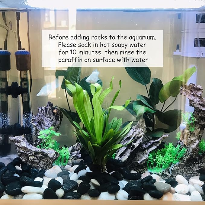 5 lbs Natural Polished Black River Rocks, 1-2 inch Decorative Pebbles for Indoor Plants. Black Stones for Planters, Vase, Garden Landscape Rocks and Outdoor Decorative Stones