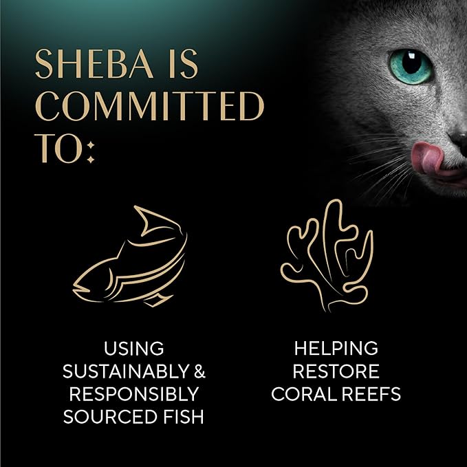 Sheba Perfect Portions Wet Cat Food Cuts in Gravy Variety Pack, with Sustainable Tuna and Roasted Chicken Entree, 2.6 oz. Twin-Pack Trays (6 Count, 12 Servings) (Pack of 2)