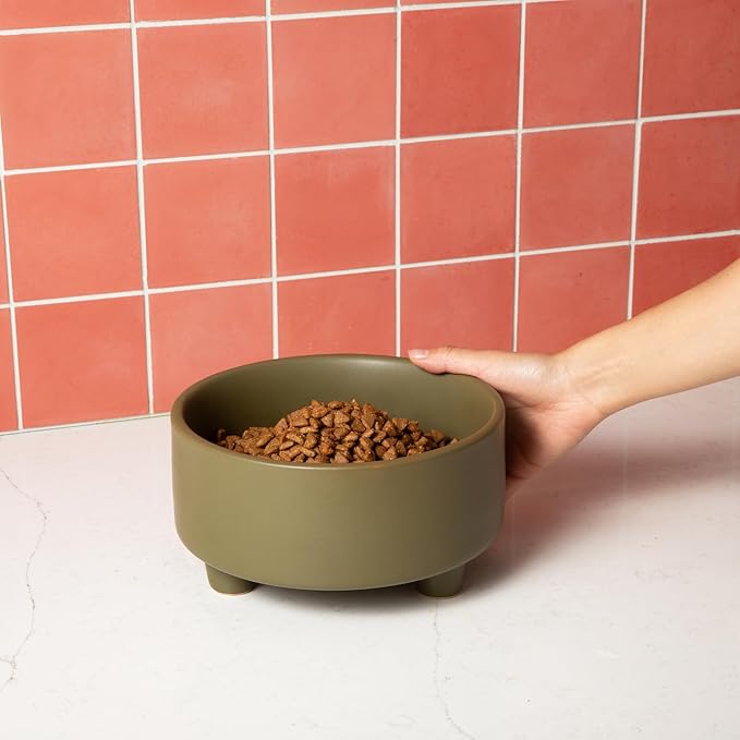 Waggo Uplift Ceramic Dog Bowl for Small Medium and Large Breeds - Heavyweight and Durable Pet Food and Water Dish Crock, Dishwasher Safe, Modern, Elevated Feeder (Olive, Small)